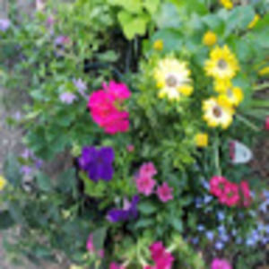 Meet your Posher, Sara